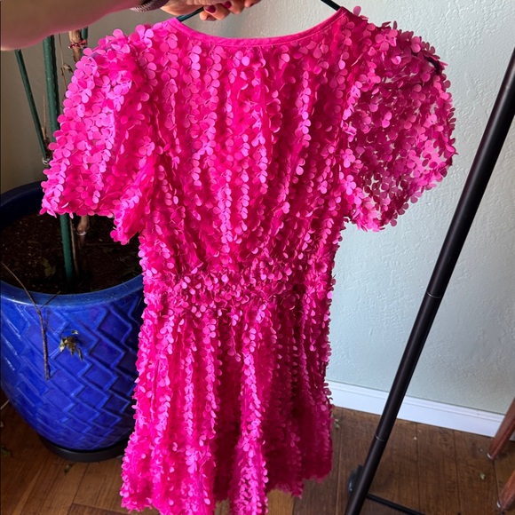 Anthropologie Somerset Mini Dress | Floral Appliqué Edition - Picture 8 of 11